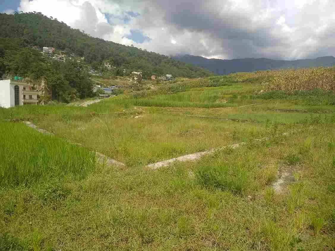 Land For Sale At Pasikot 2