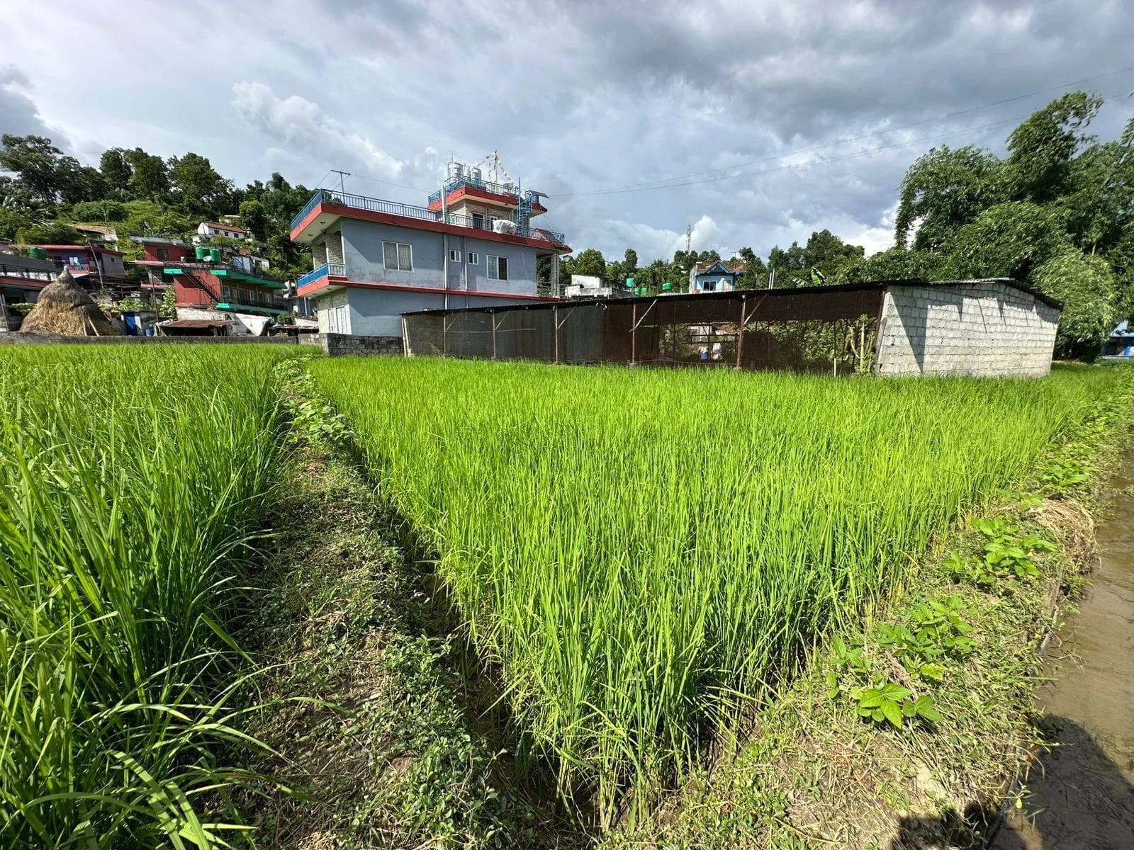 Land For Sale At Pokhara 27 | Aadarsha Chowk 5