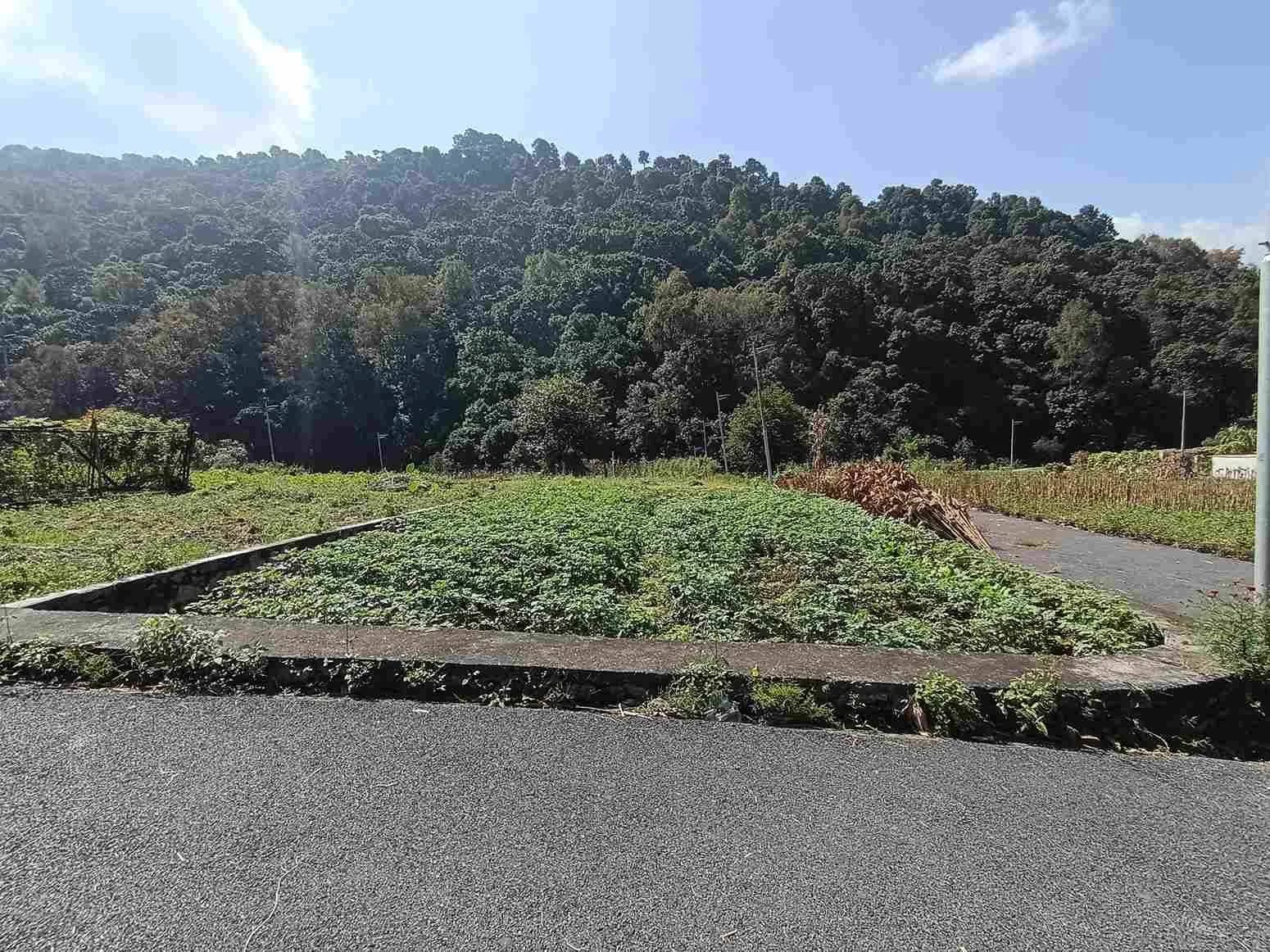 Land For Sale At Sudal 1