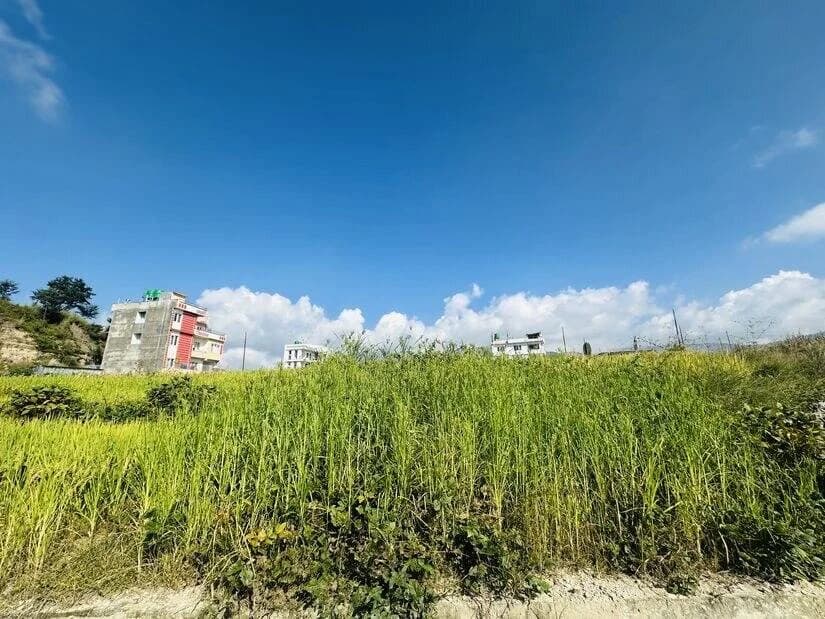 Land For Sale At Thali 2