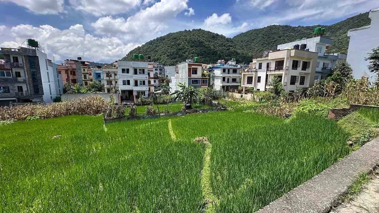 Land For Sale At Raniban 4