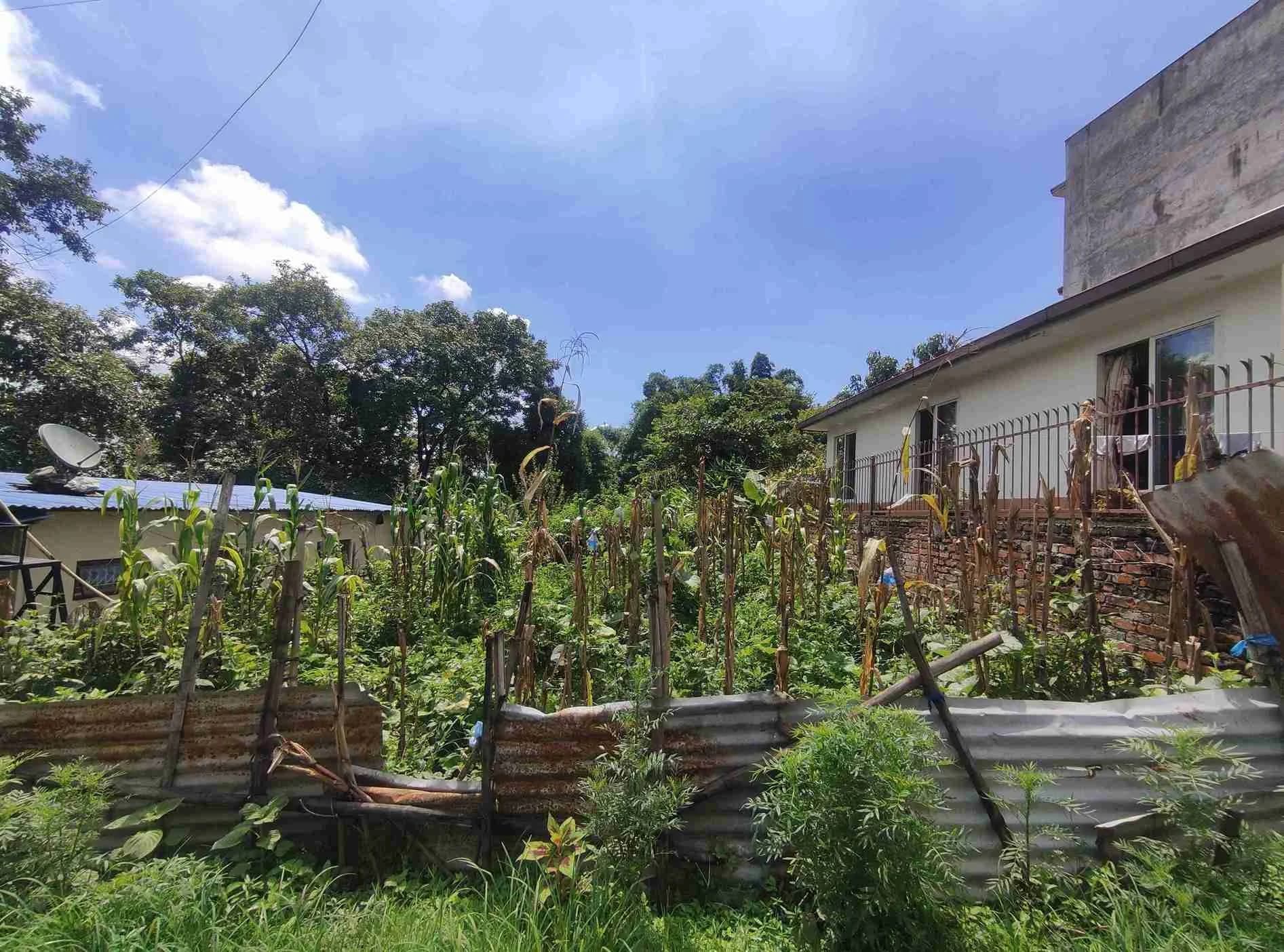 Perfect Land For Sale At Boudha 1