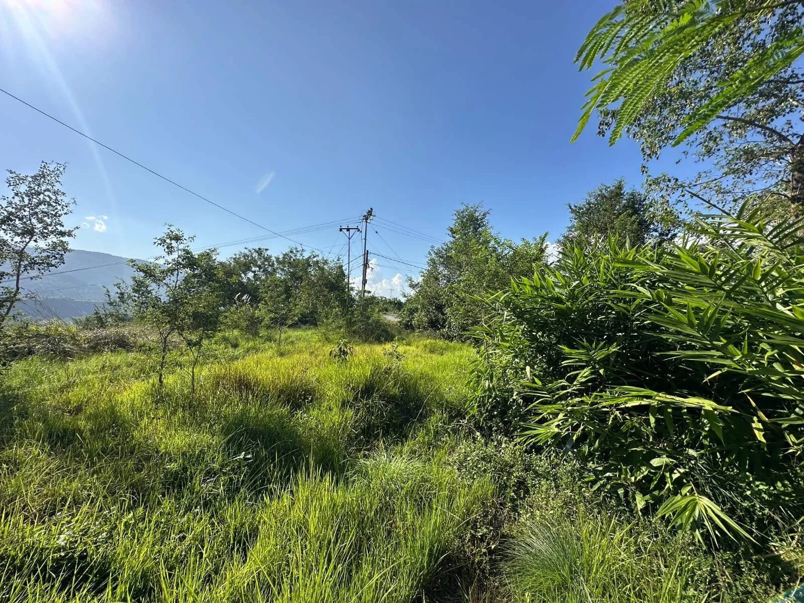 Land For Sale At Pokhara 3