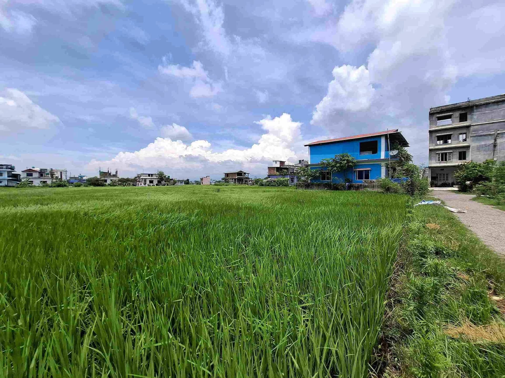 Land For Sale At Halgada 2