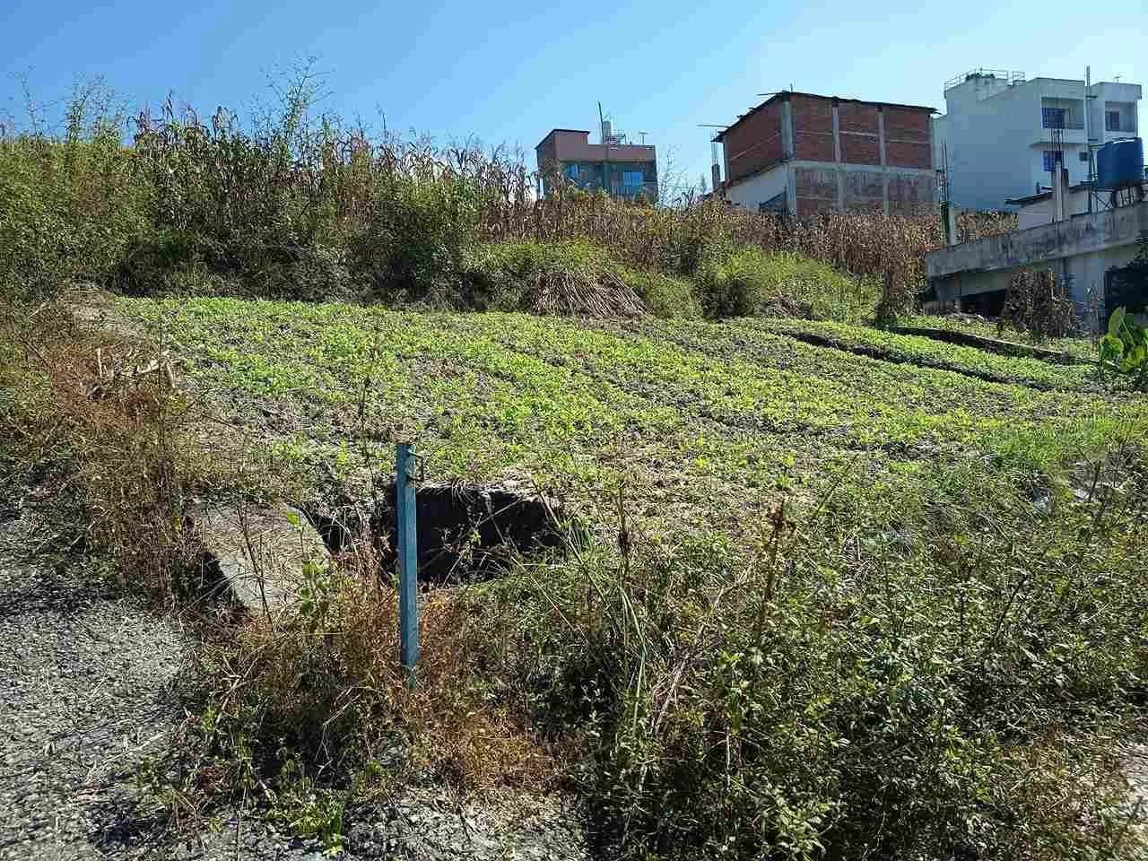 Land For Sale At Sudal 3