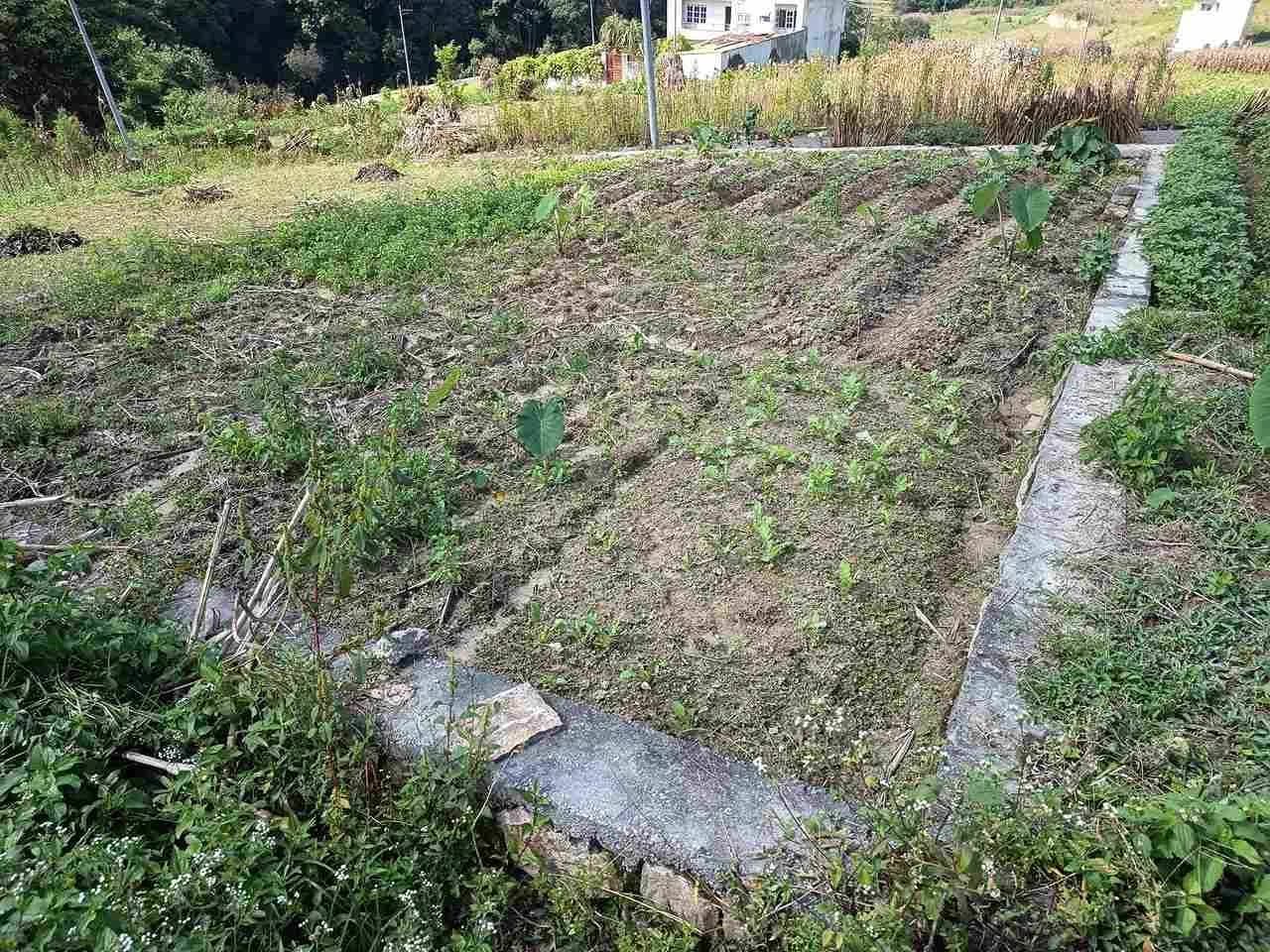 Land For Sale At Sudal 2