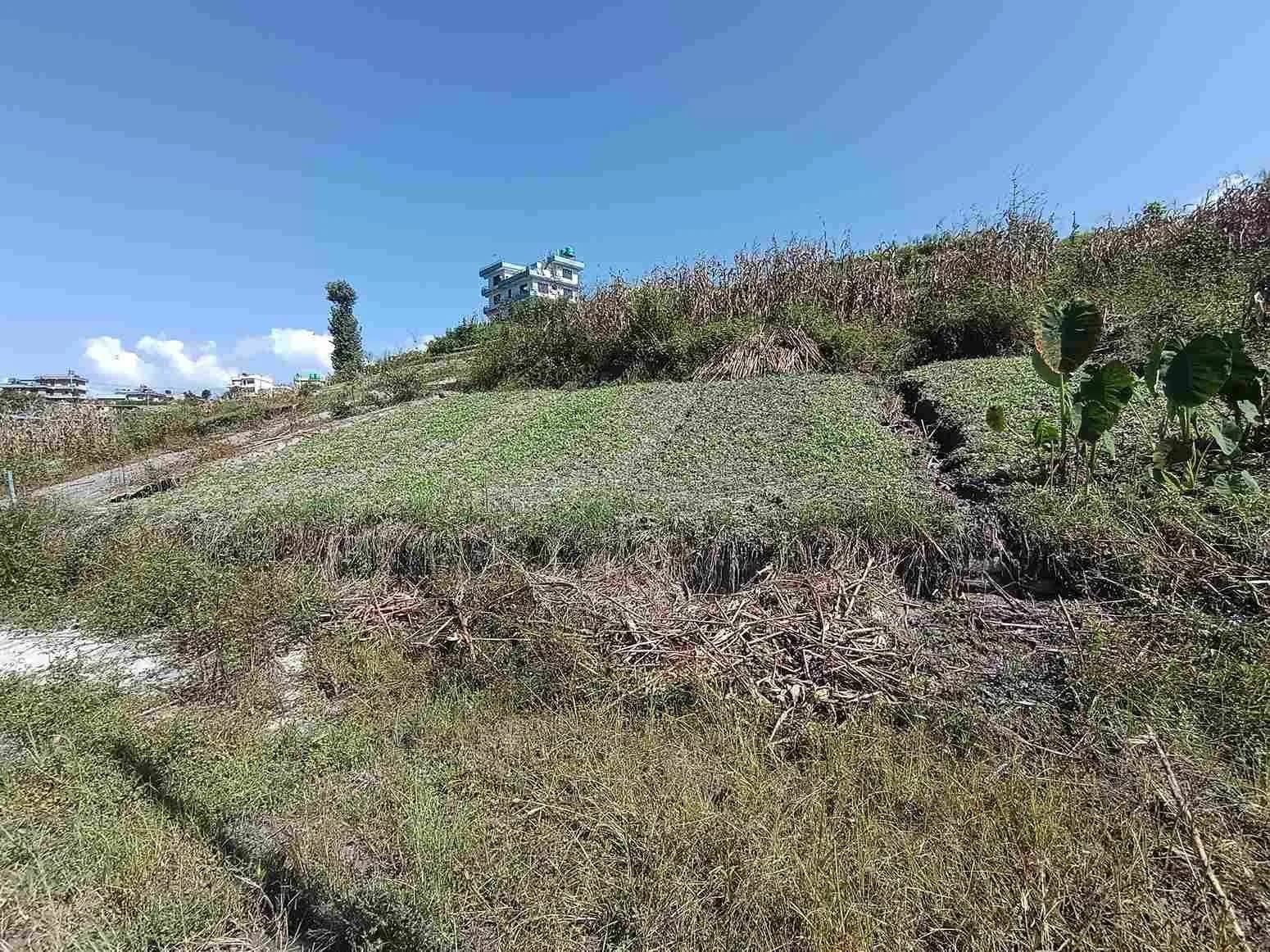 Land For Sale At Sudal 2