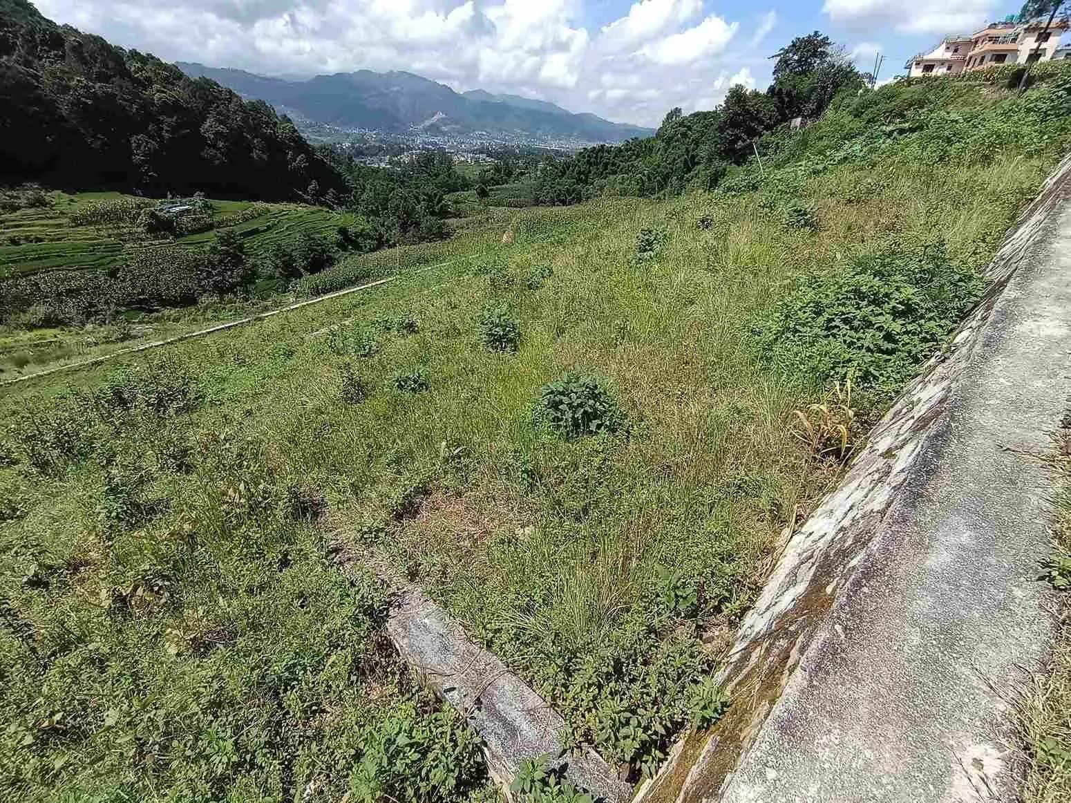 Land For Sale At Sudal 2