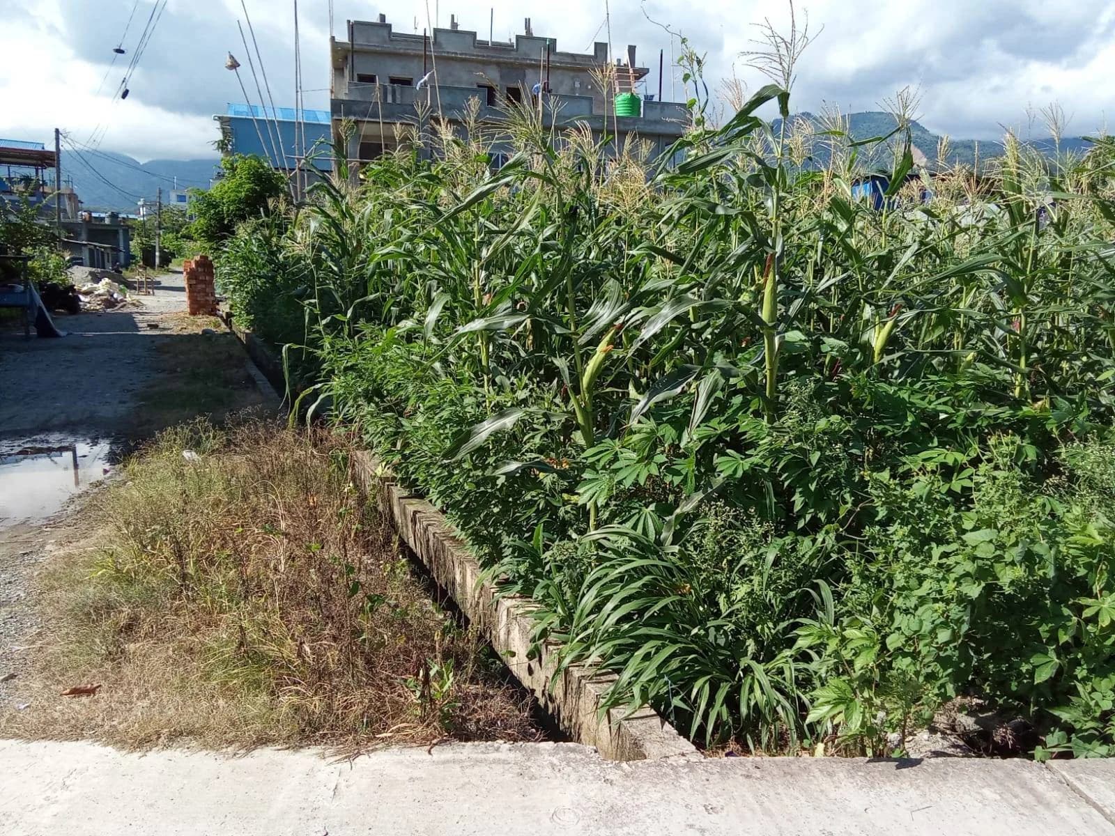 Land For Sale At Dharan 15 | Mahadev Chowk 2