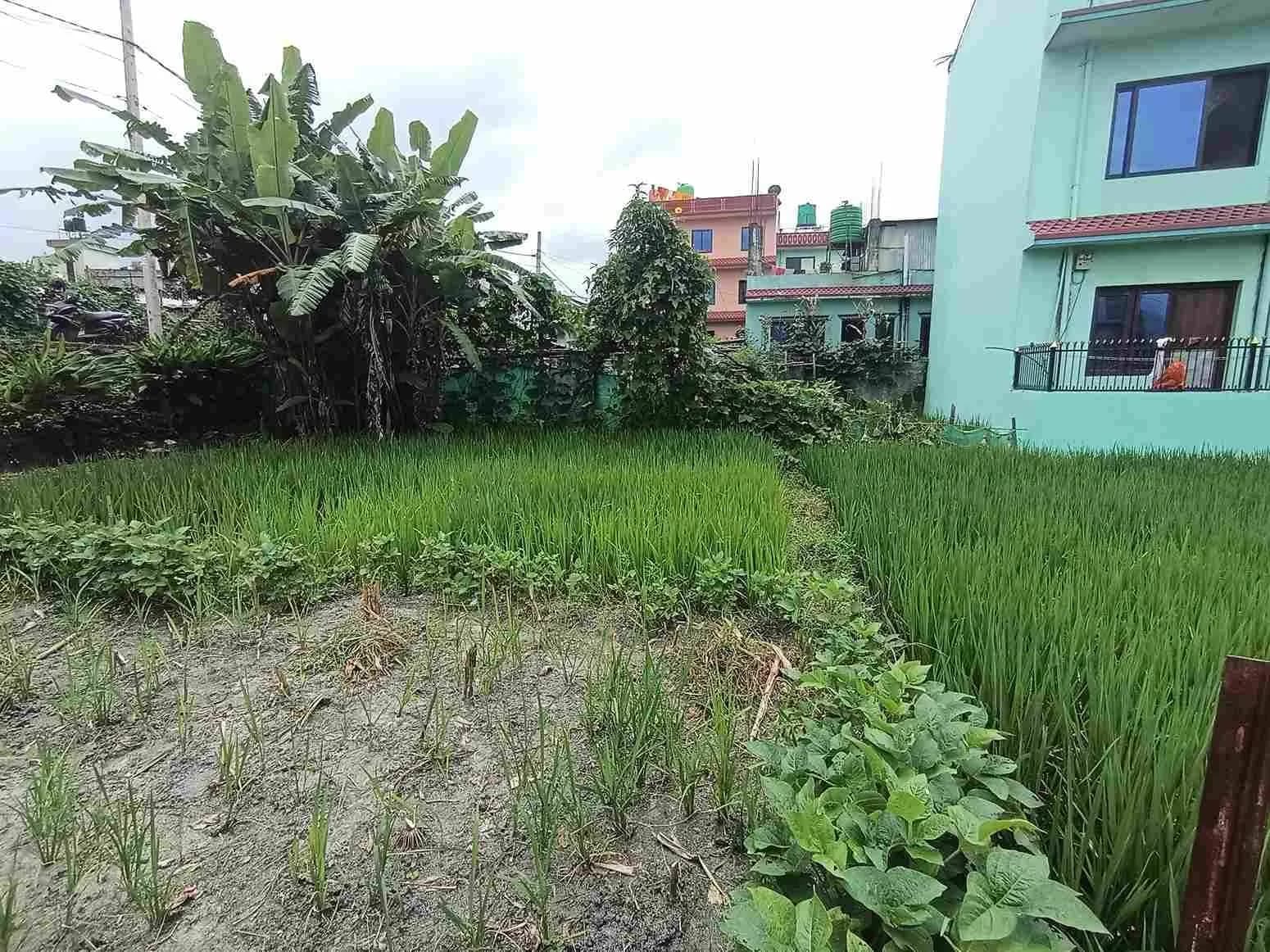 Land For Sale At Duwakot 5
