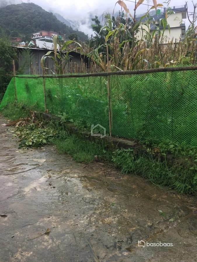 Land for Sale in Chandragiri, Kathmandu — For Sale in Chandragiri 1