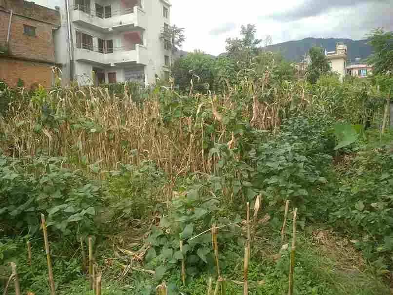 Land For Sale At Chapali | Budhanilkantha 3