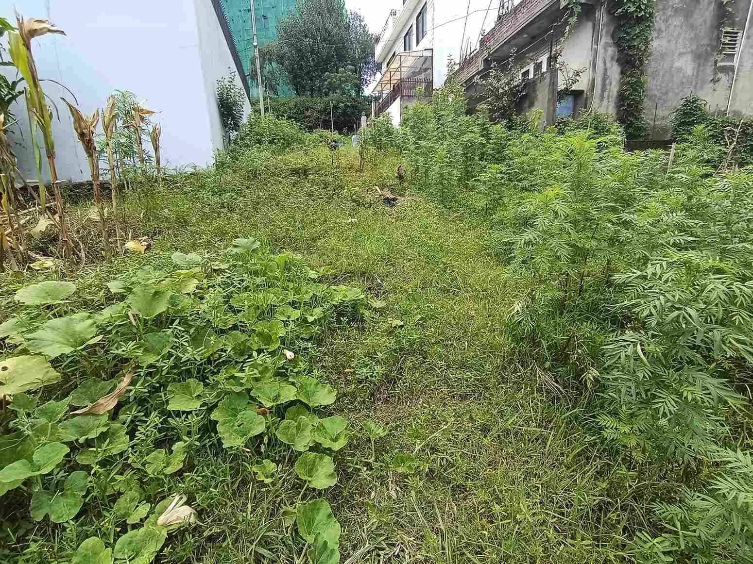 Land For Sale At Kamalbinayak 4