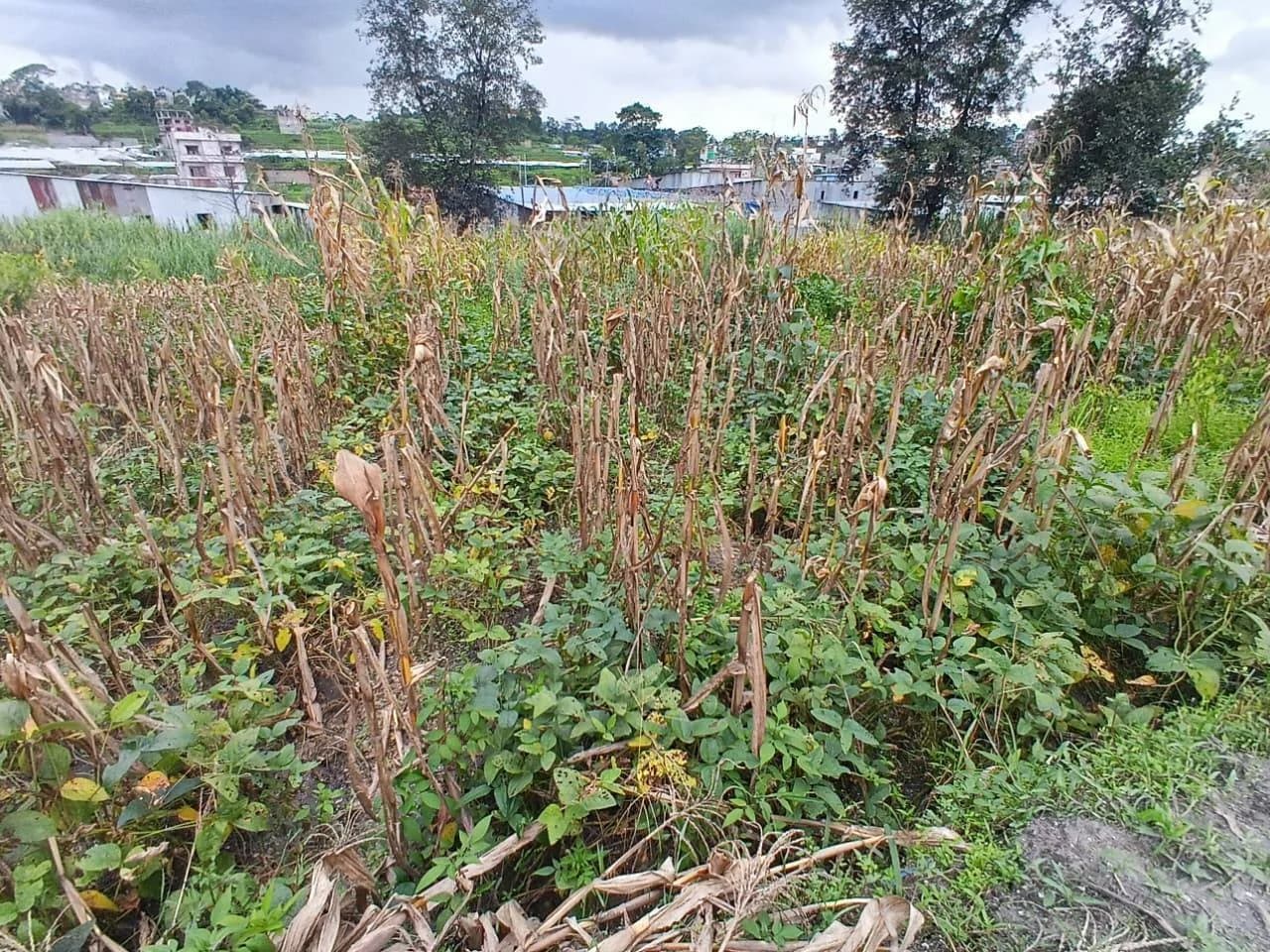 Land For Sale At Tokha | Megacity 4