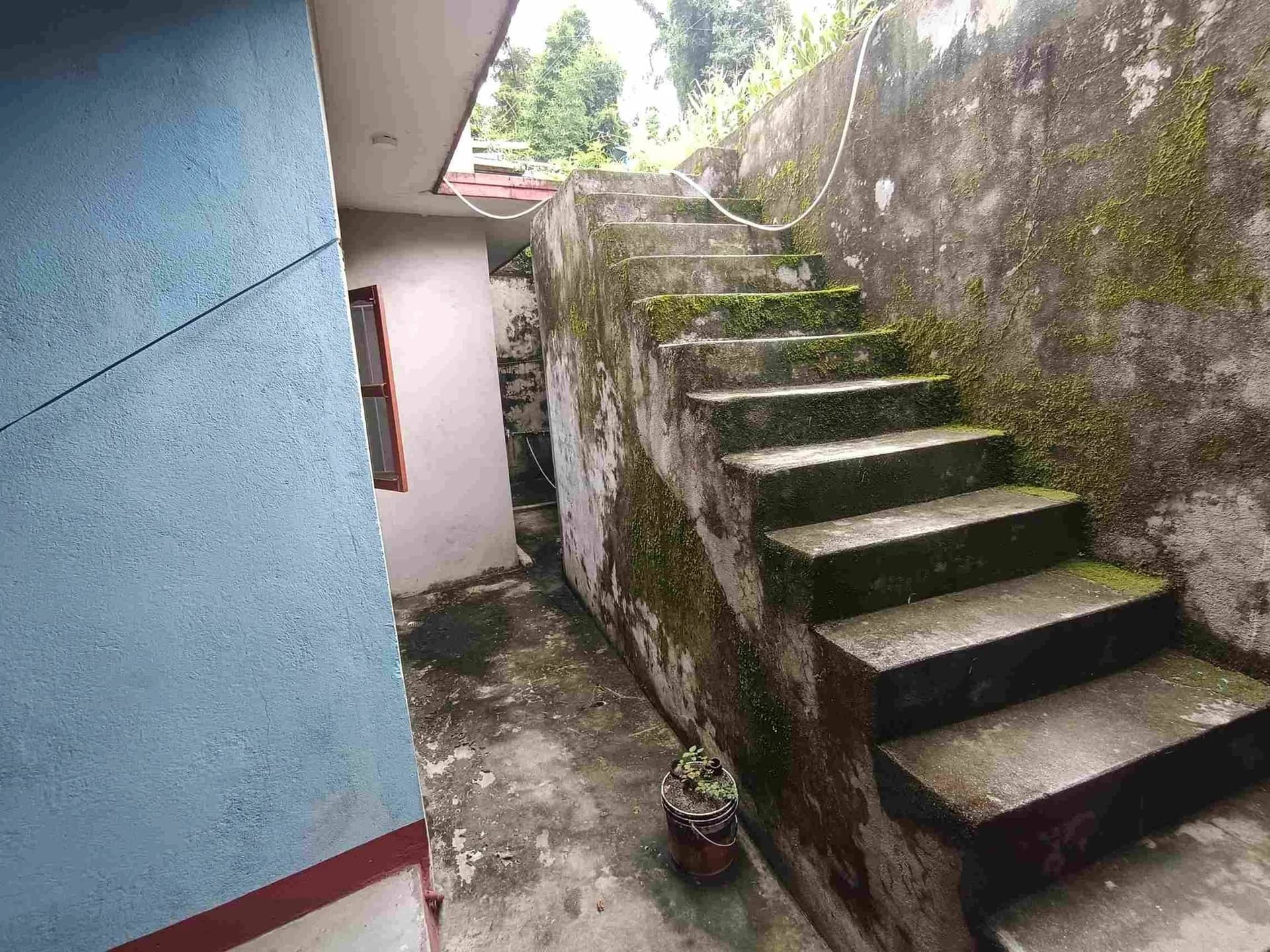 House For Sale At Sudal 4