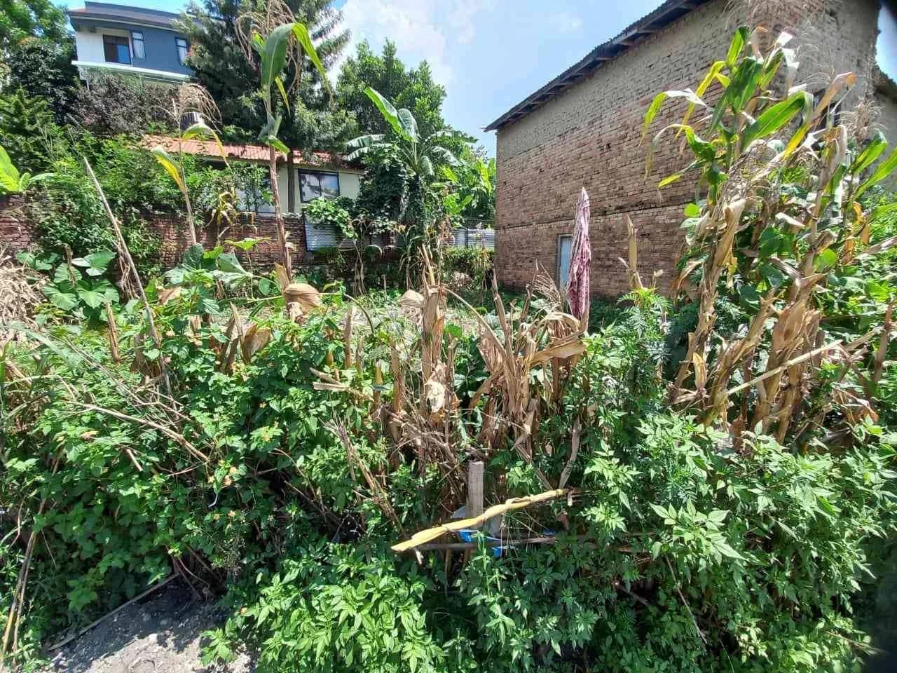 Land For Sale At Italitar 3