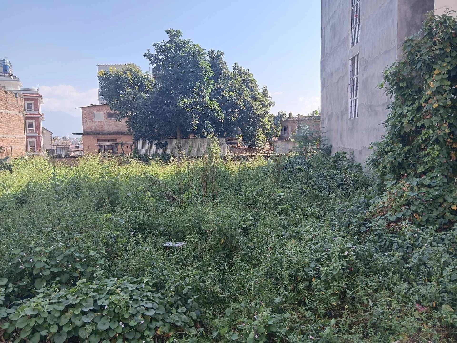 Land For Sale At Dallu 2