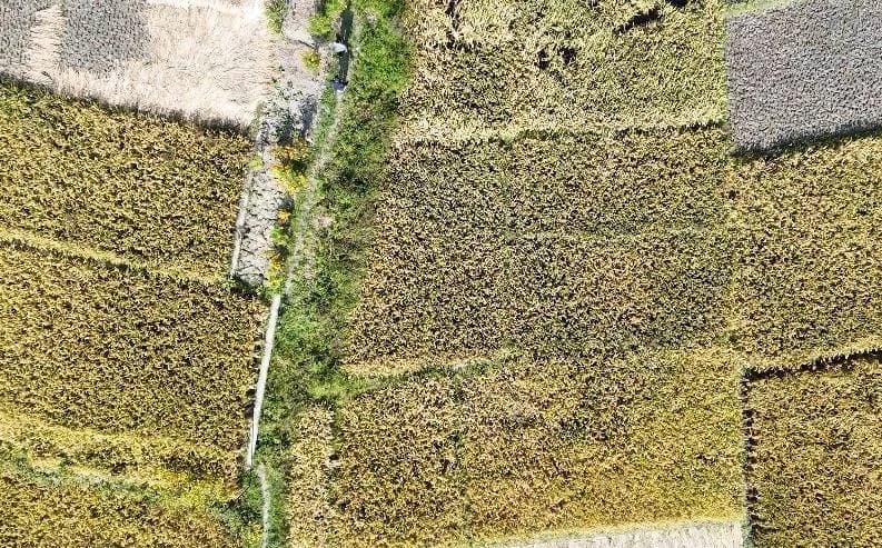 Land For Sale At Tathali 2