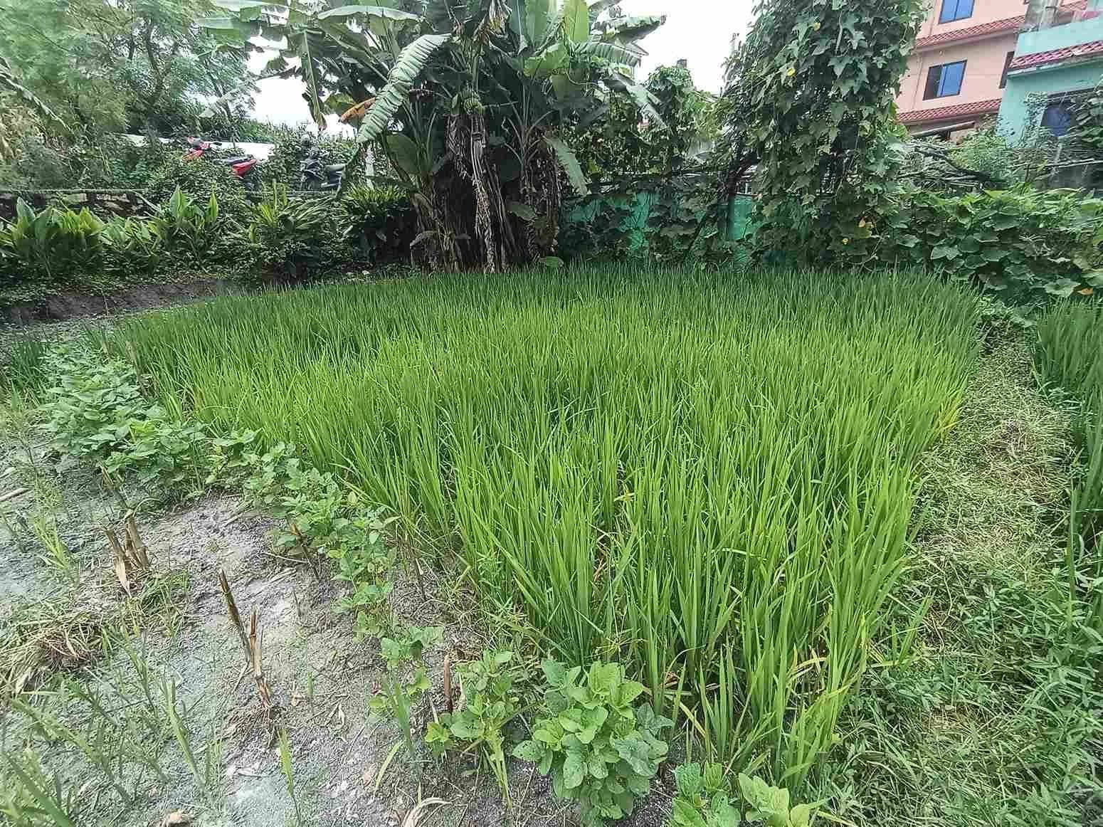 Land For Sale At Duwakot 4