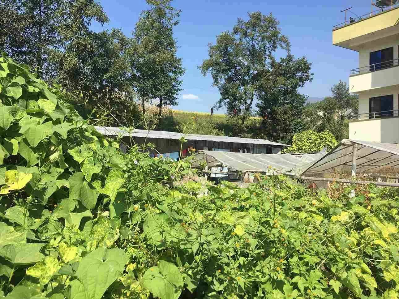 Land For Sale At Chunikhel 2