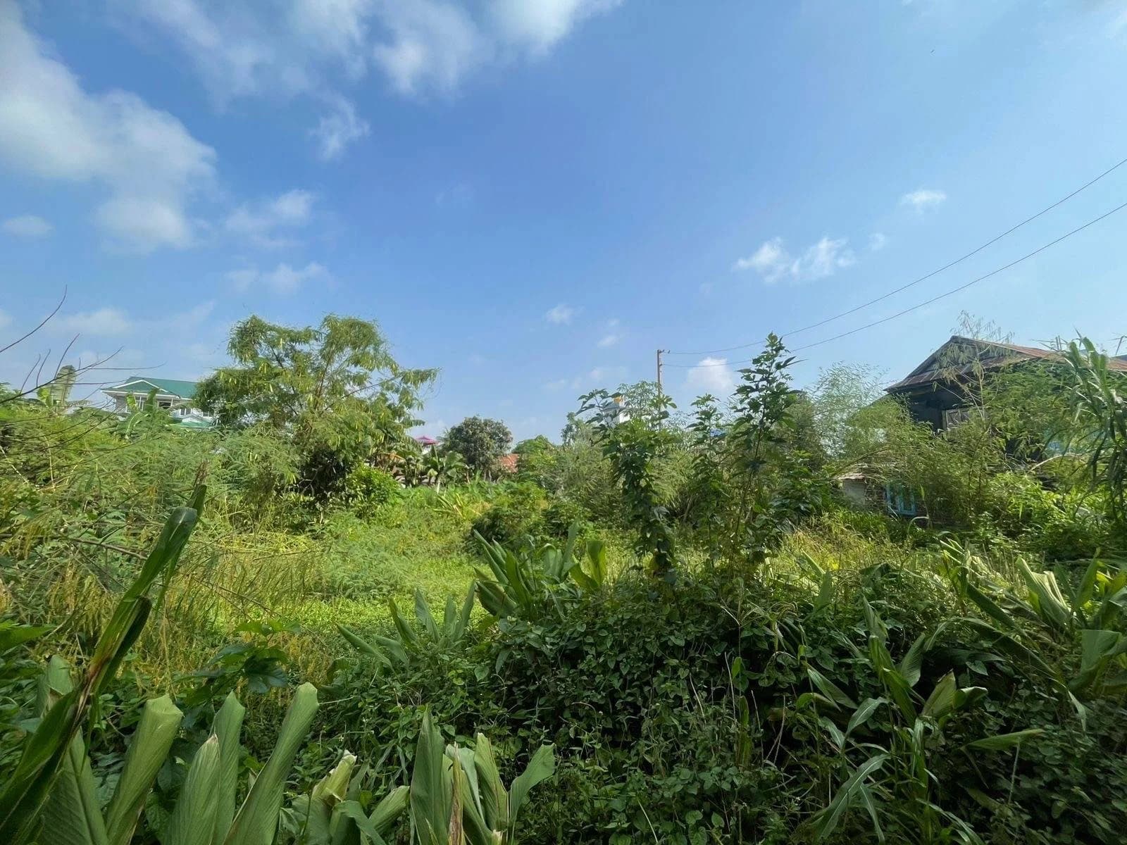 Land For Sale At Tarahara 1