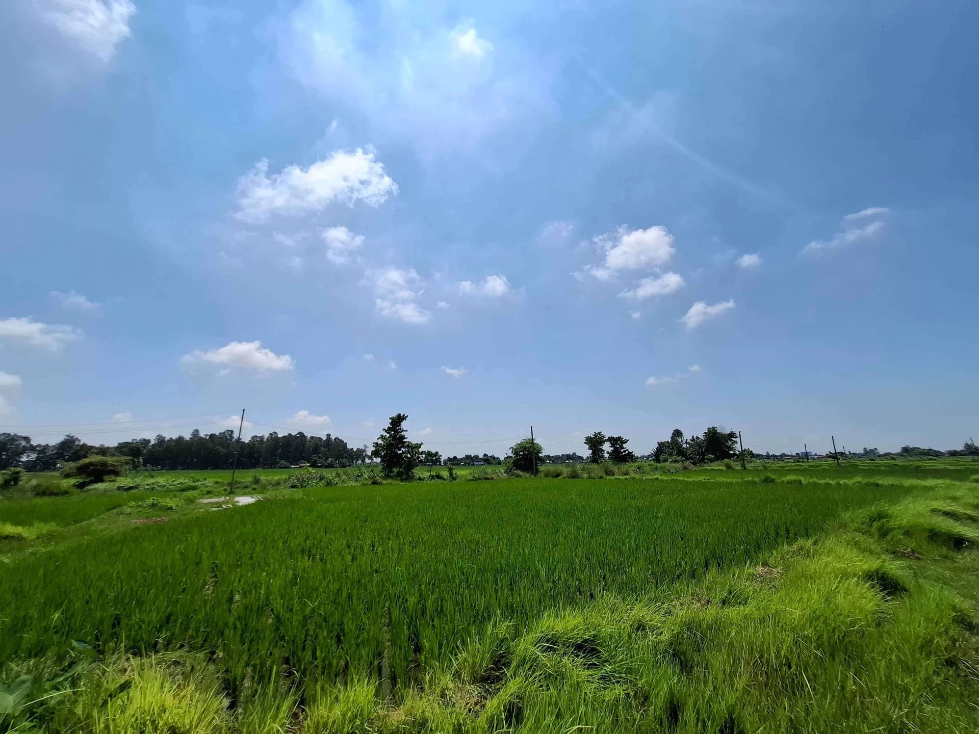 Land For Sale At Pateruwa 3