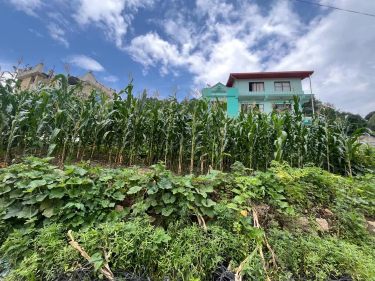 Land For Sale At Lalitpur | Nakhipot 2