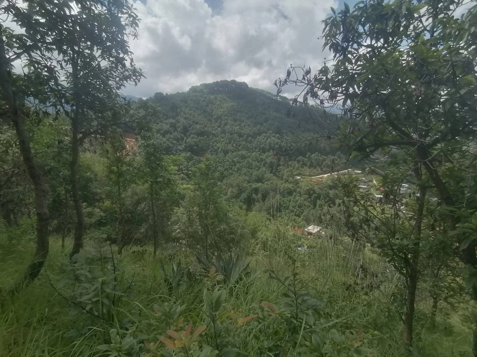 Land For Sale At Godamchaur | Godawari 5
