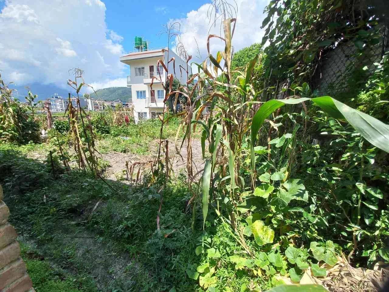 Land For Sale At Italitar 1