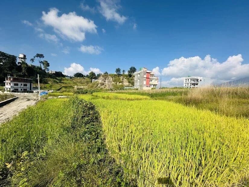 Land For Sale At Thali 1
