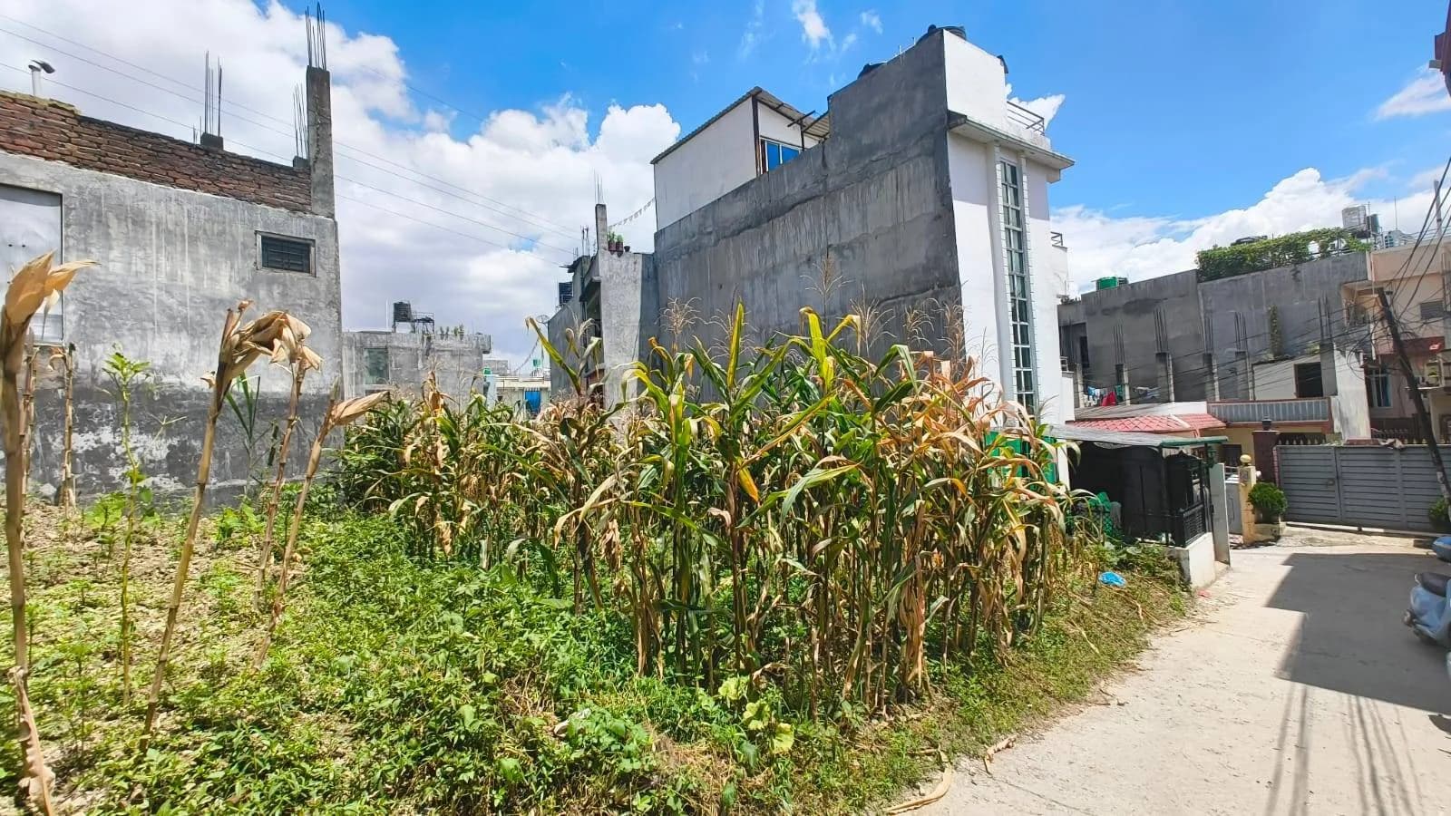 Land For Sale At Tikathali 3