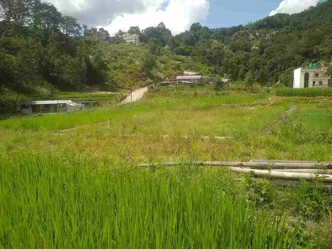 Land For Sale At Pasikot 1