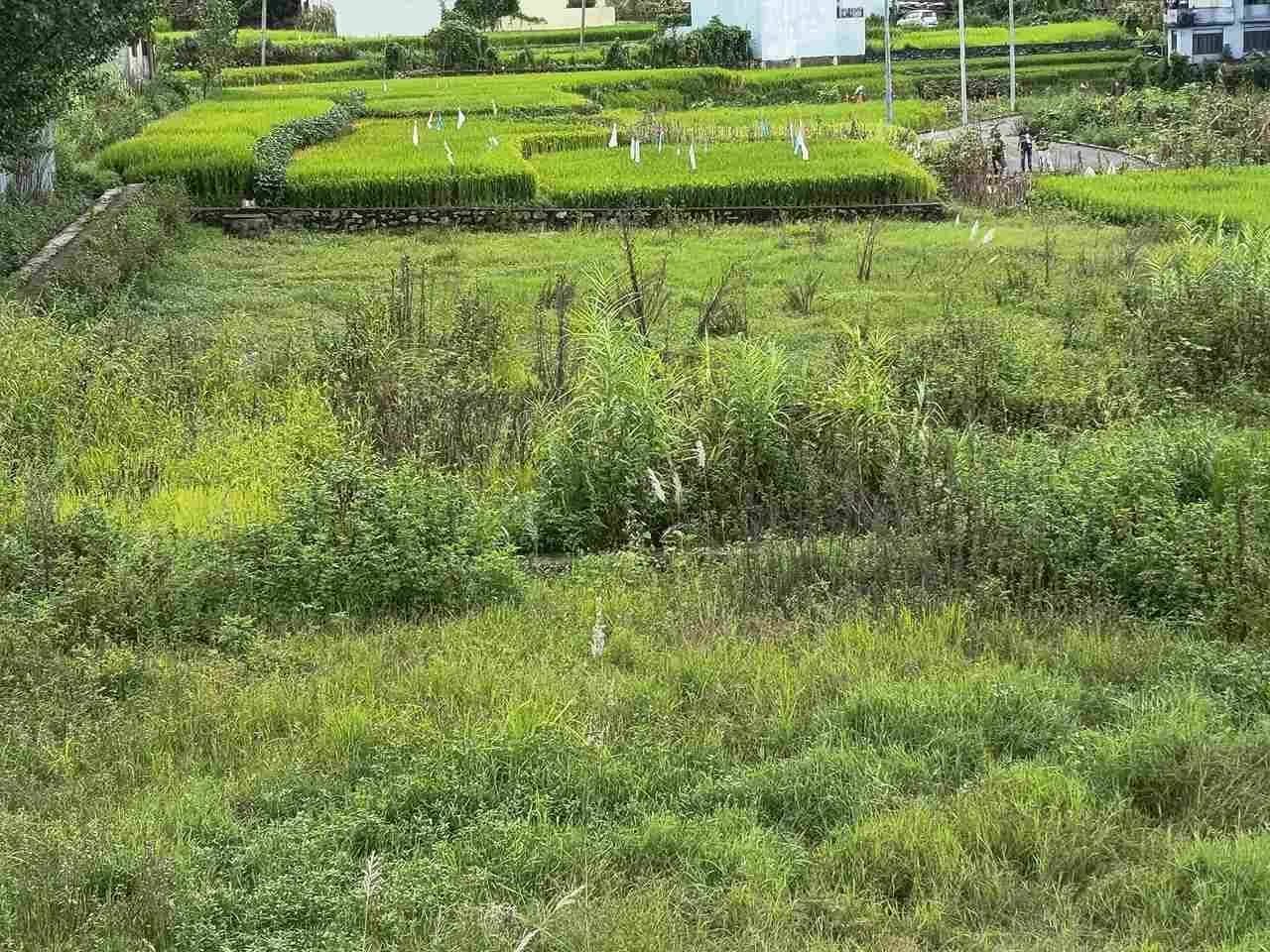 Commercial Land For Sale At Bhaktapur 3