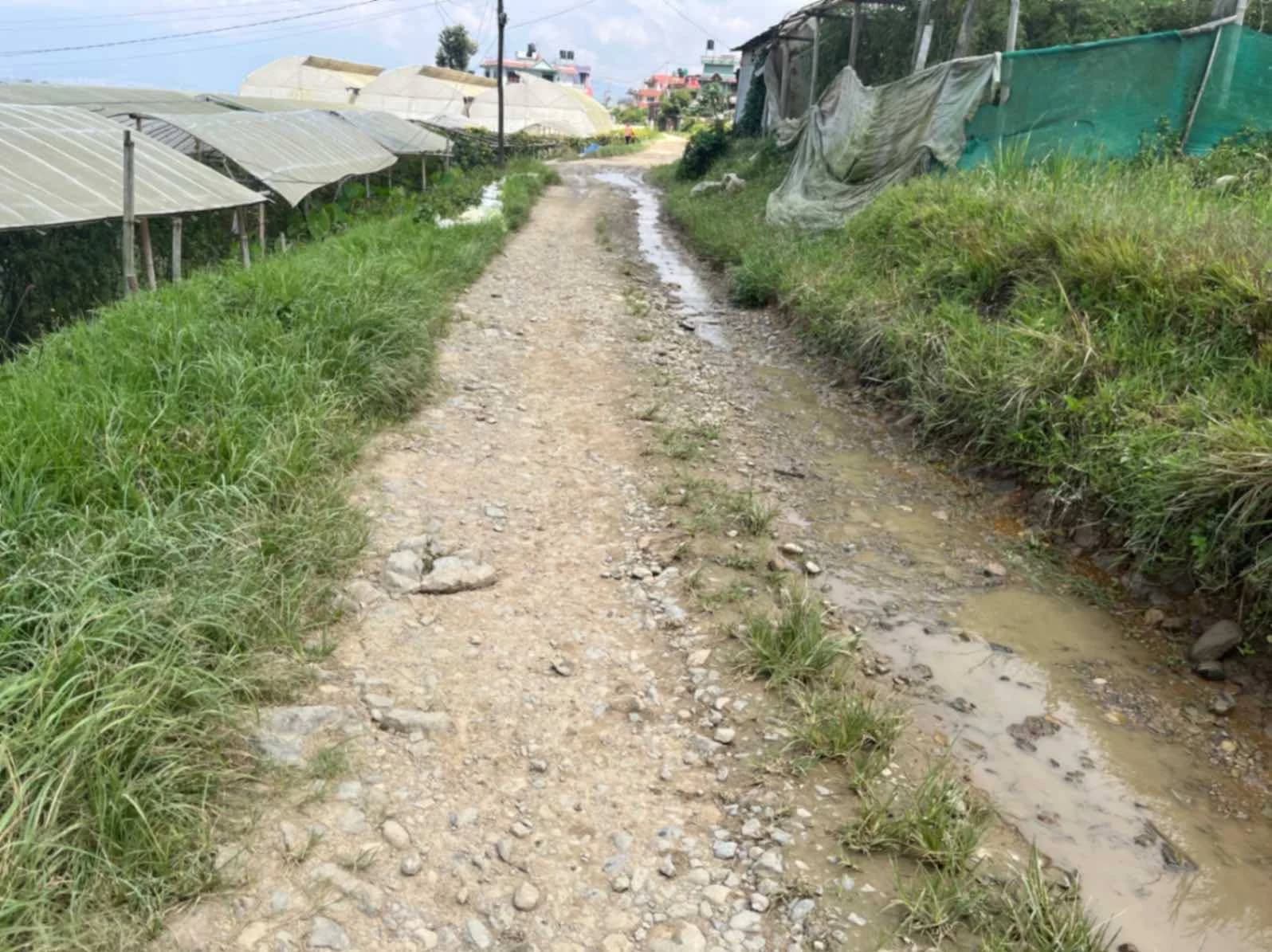 Land For Sale At Jharuwarasi 4