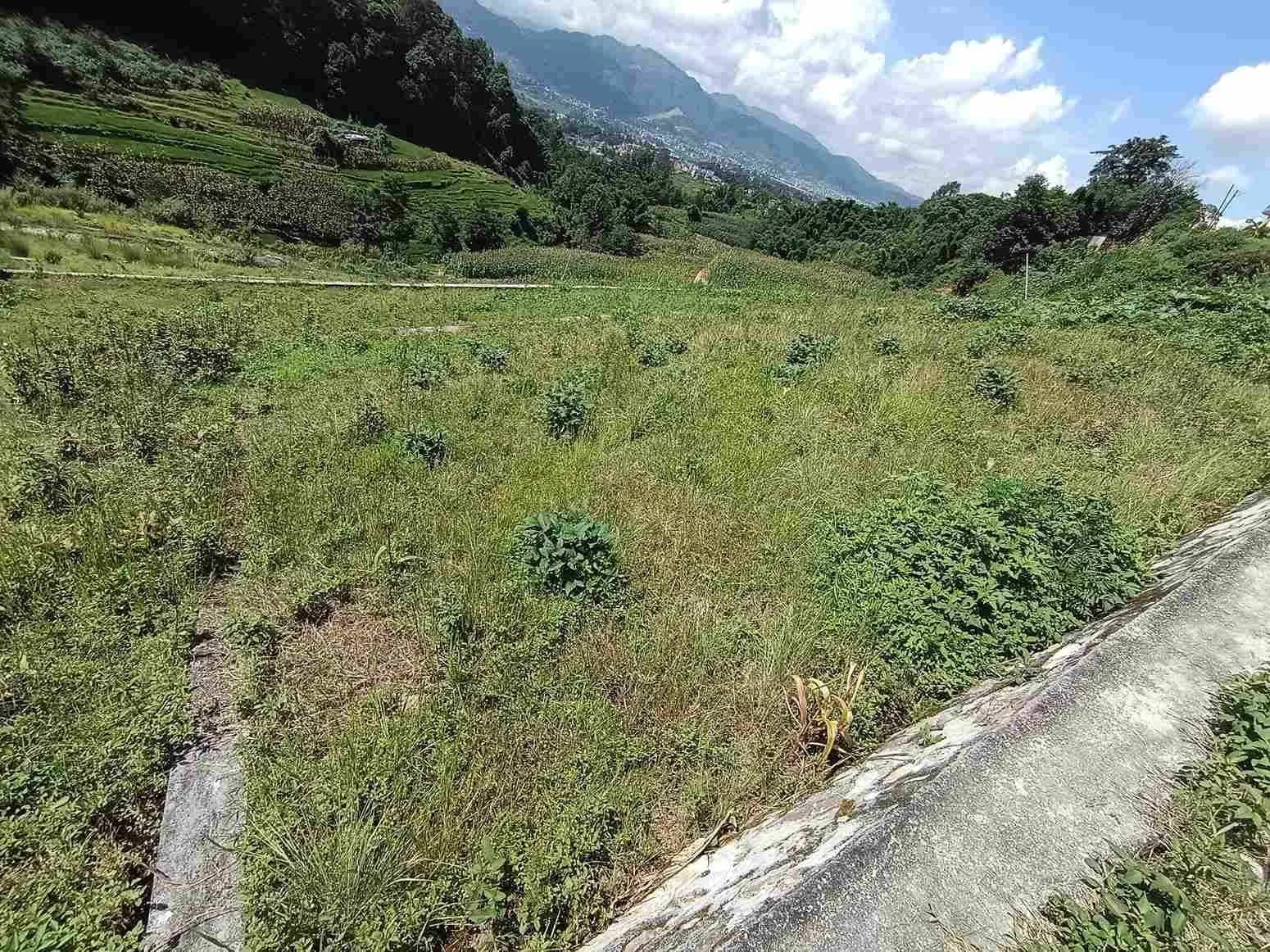 Land For Sale At Sudal 3