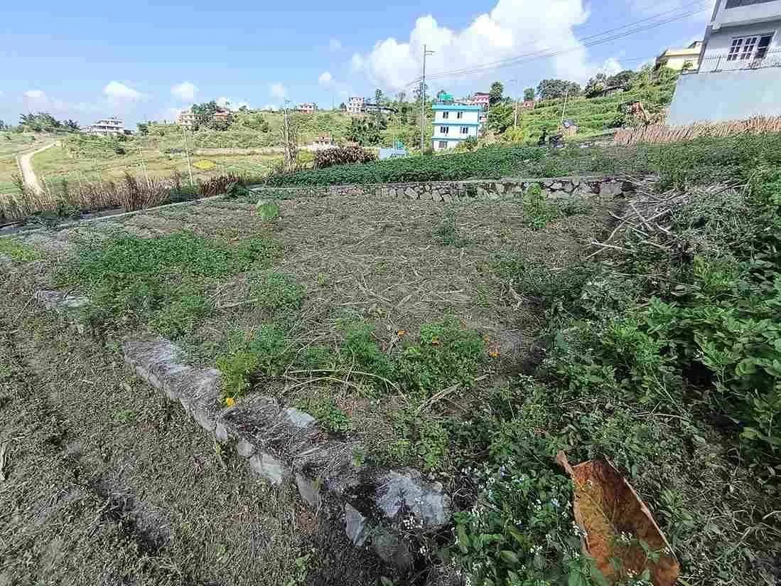 Land For Sale At Sudal 3