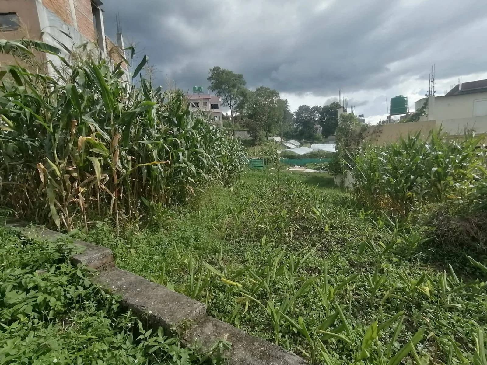 Land For Sale At Changathali | Lalitpur 1