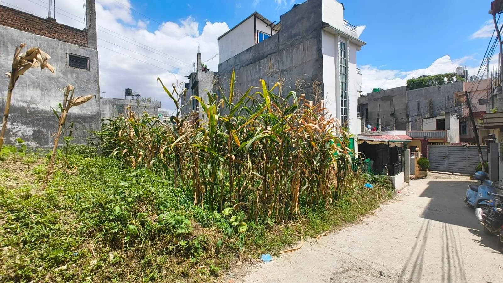 Land For Sale At Tikathali 1