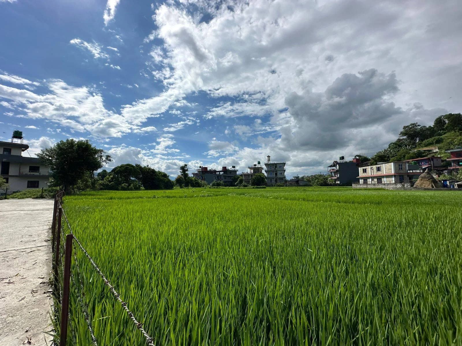 Land For Sale At Pokhara 27 | Aadarsha Chowk 2