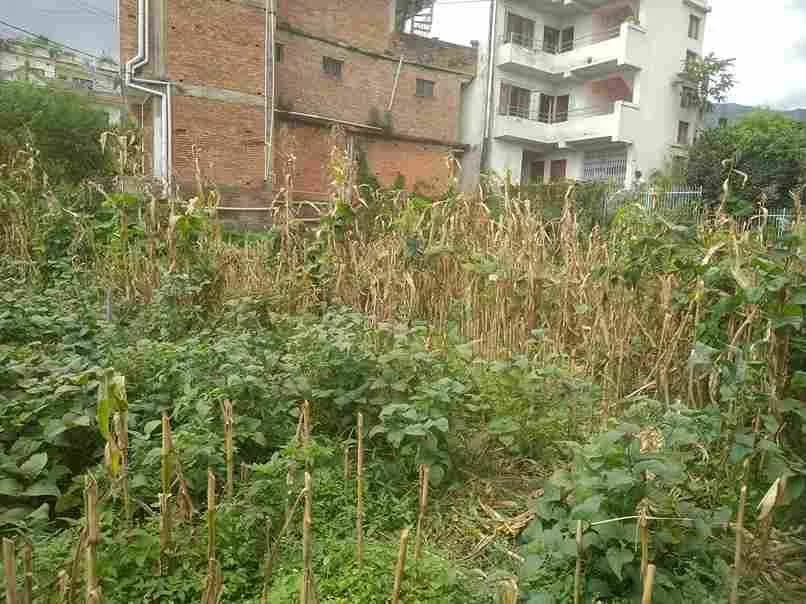 Land For Sale At Chapali | Budhanilkantha 1