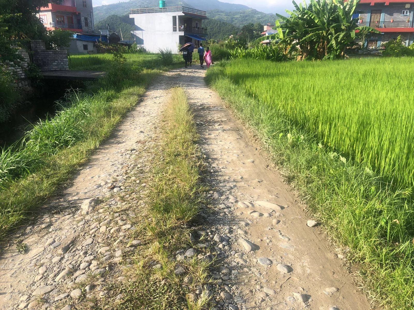 Land For Sale At Sisuwa 4