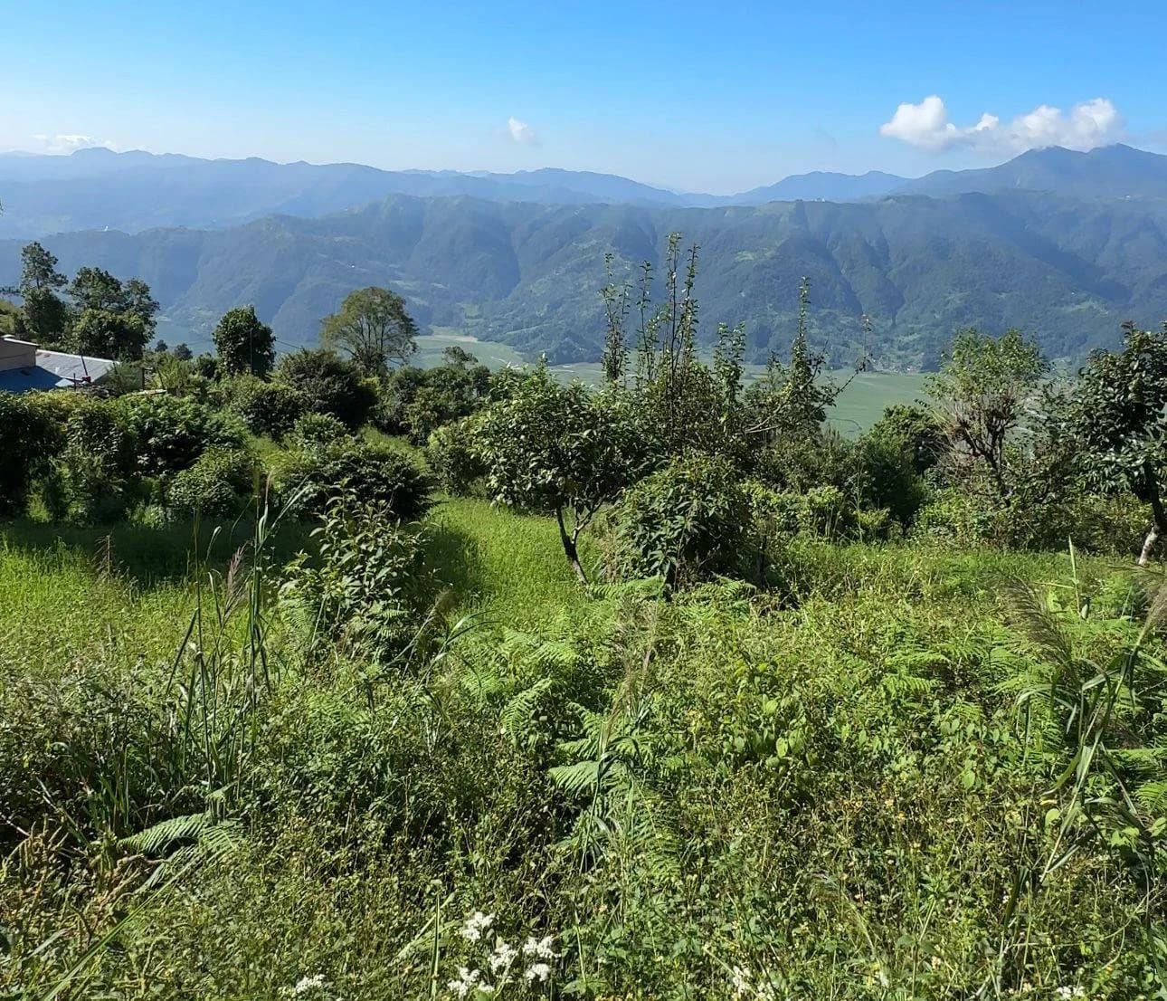 Land For Sale At Pokhara 1