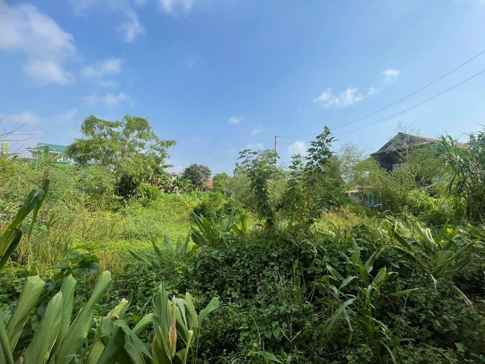 Land For Sale At Tarahara 2