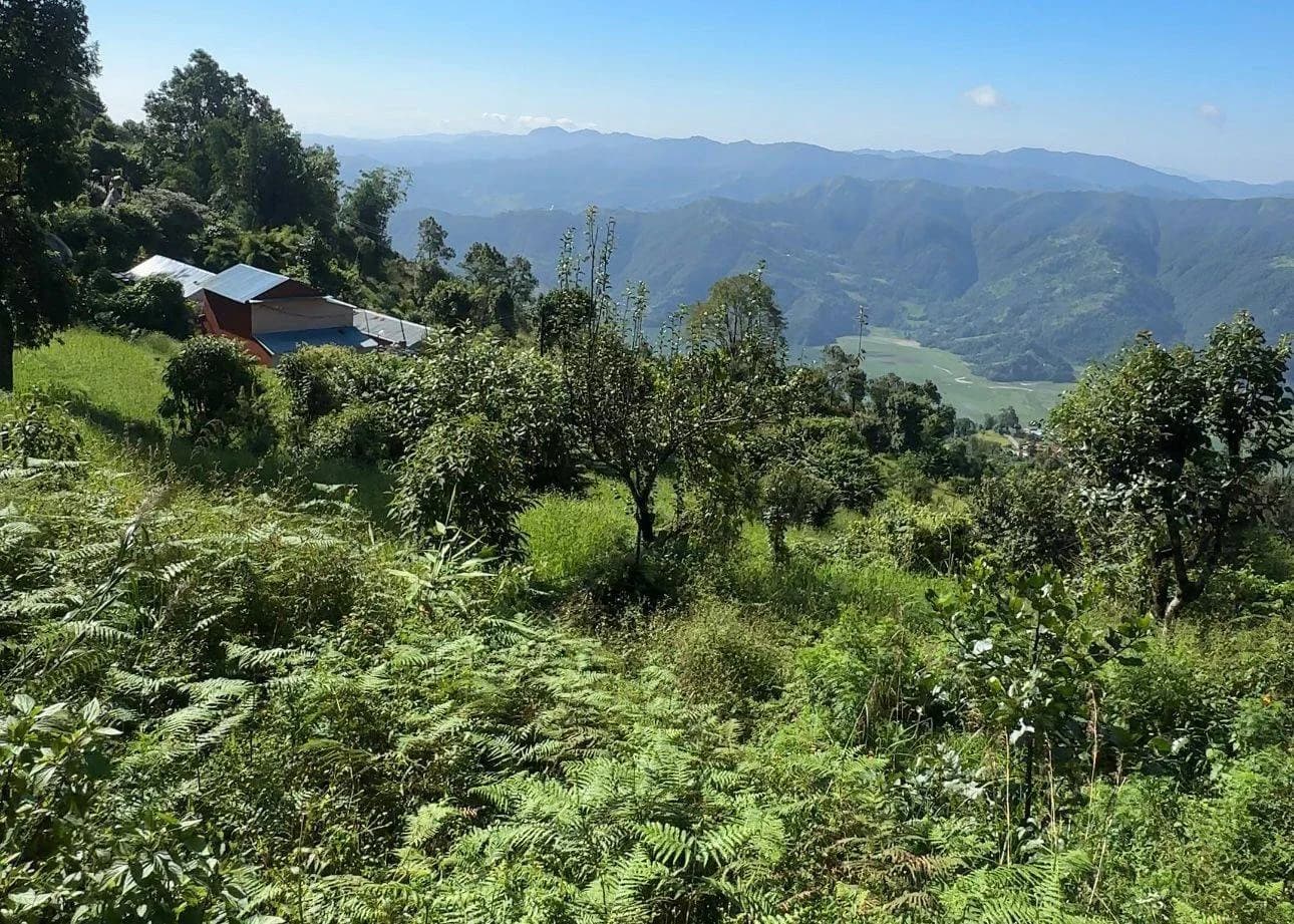 Land For Sale At Pokhara 3