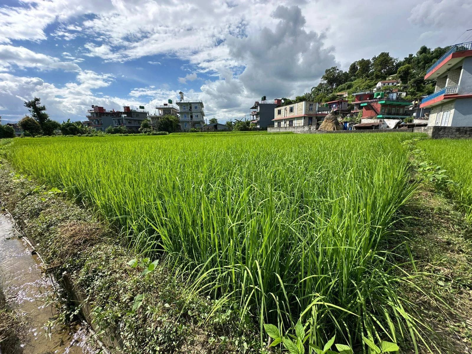 Land For Sale At Pokhara 27 | Aadarsha Chowk 3
