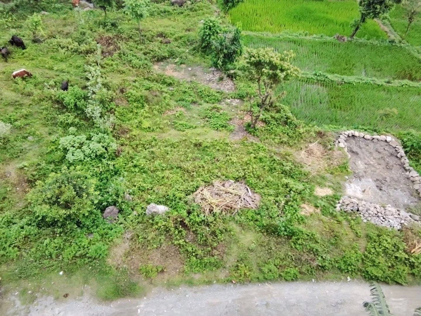 Land For Sale At Kerabari | Morang 3
