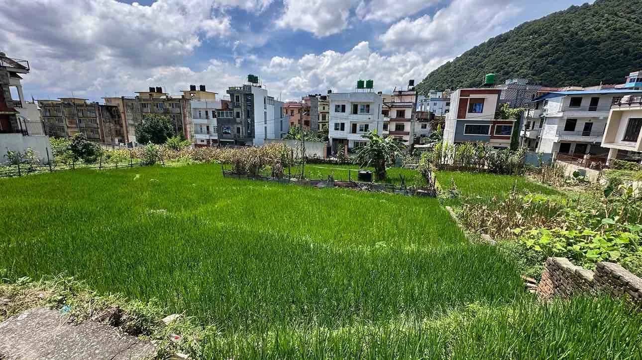 Land For Sale At Raniban 2