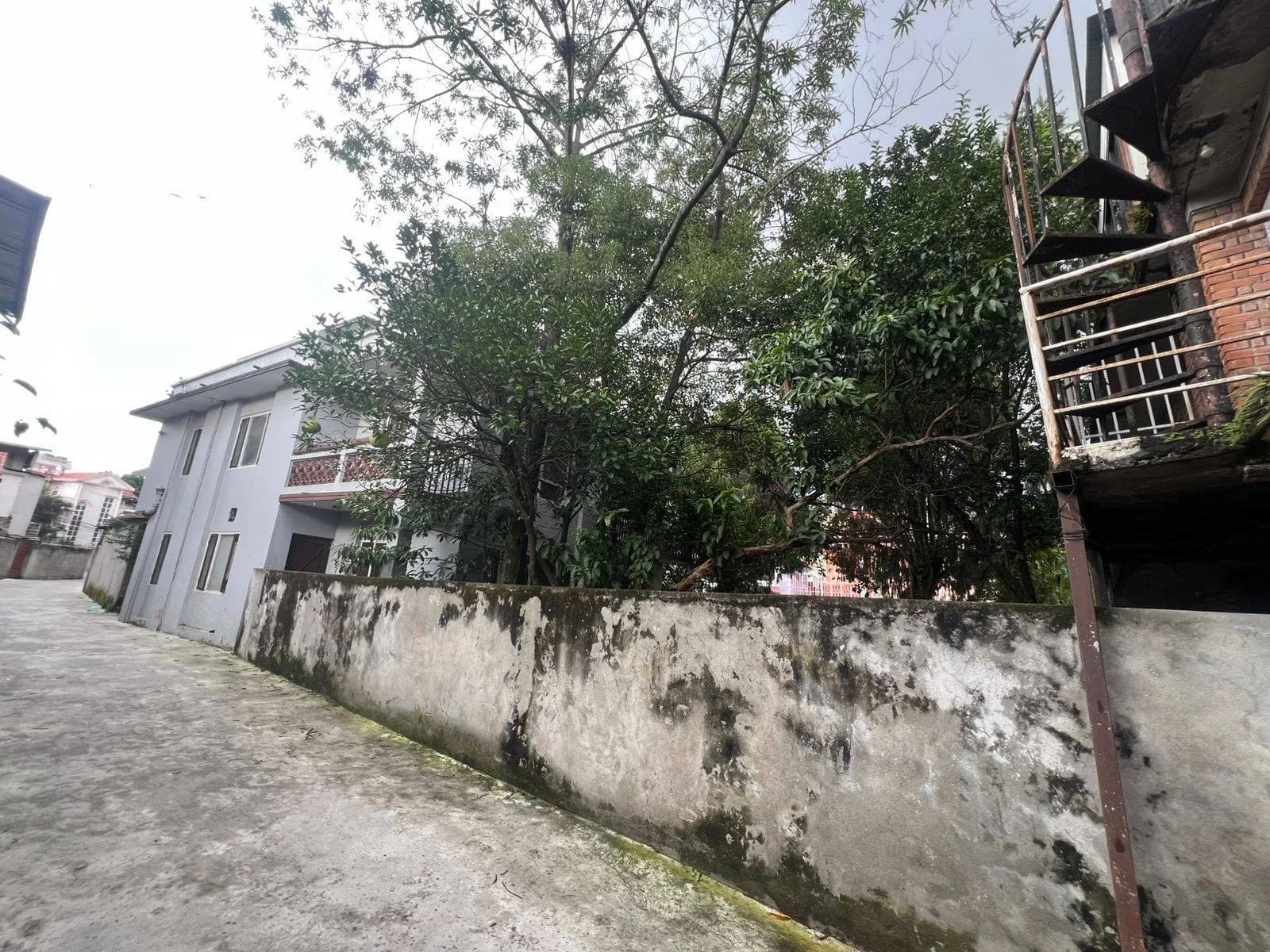 Land For Sale At Lazimpat 1