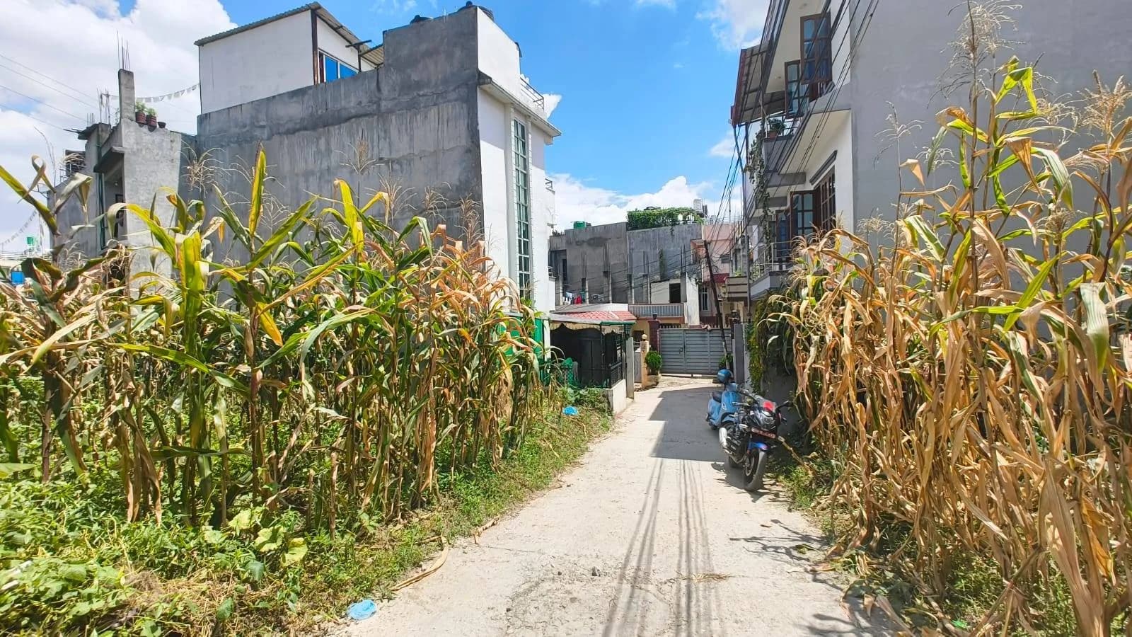 Land For Sale At Tikathali 2