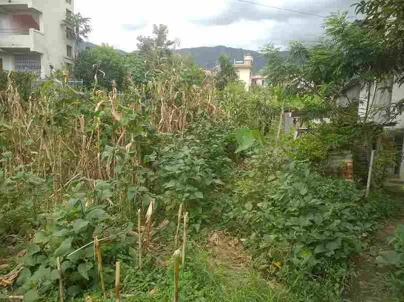 Land For Sale At Chapali | Budhanilkantha 2